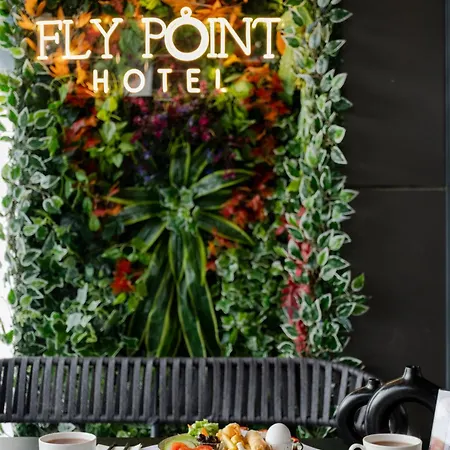 Fly Point Airport